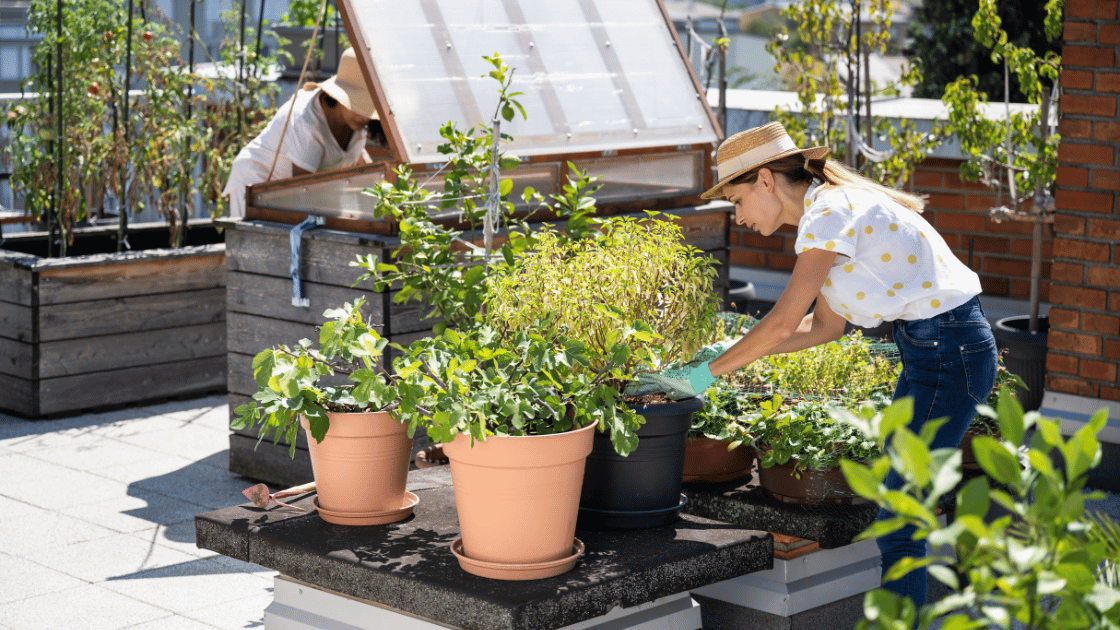 New Ways to Explore Your City: Urban Foraging in Toronto
