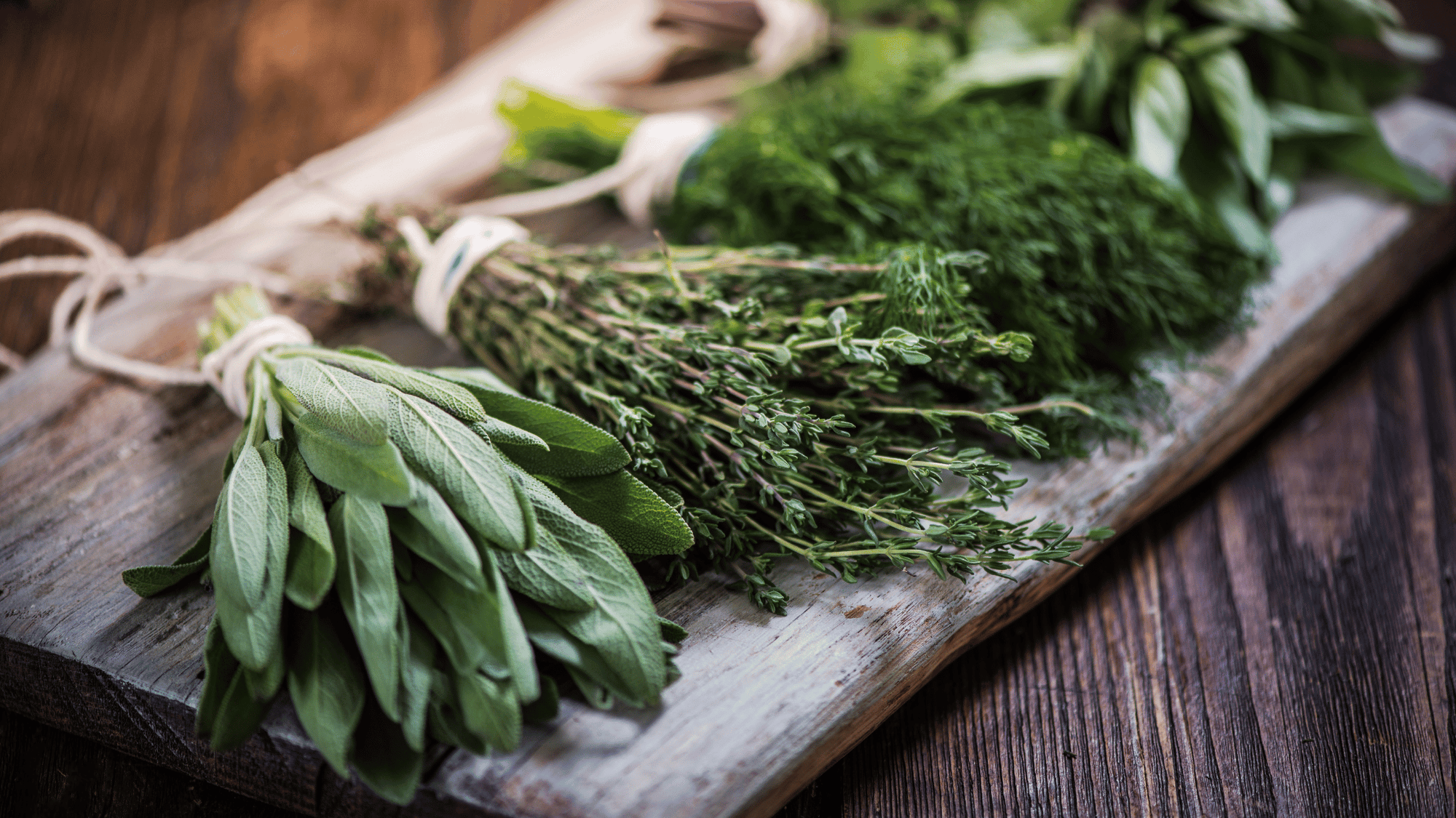 Top 10 Summer Herbs: Benefits to Cooking and Your Health!